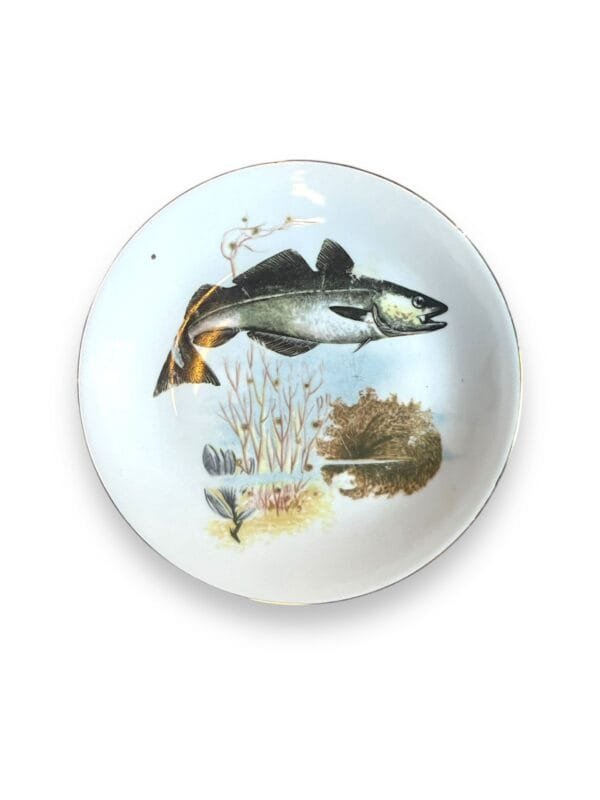 Fish plates - image 7
