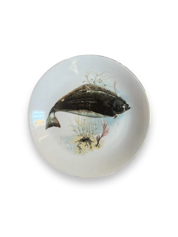Fish plates - image 5