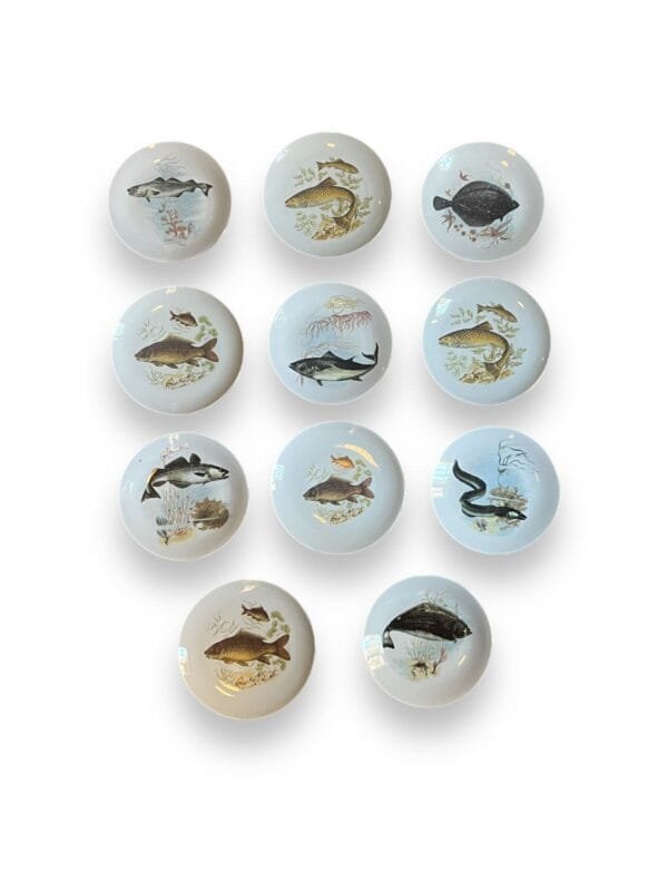 Fish plates