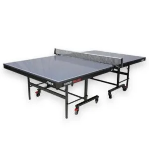 Ping Pong & Tennis Table